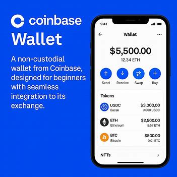 Top 5 Crypto Wallets for Beginners